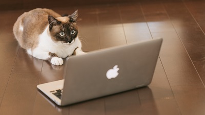 ホームページ制作は誰でもできる